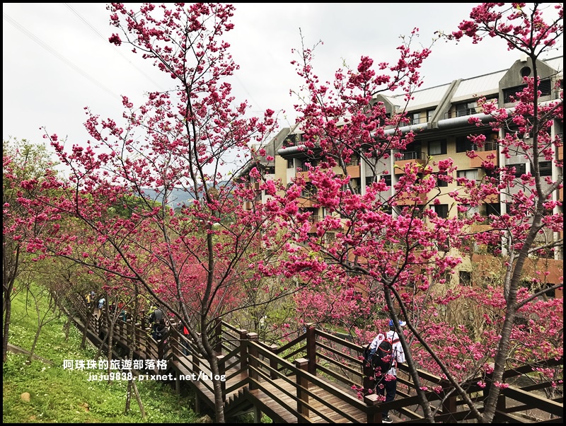 長庚養生村39.JPG 長庚養生村39.JPG