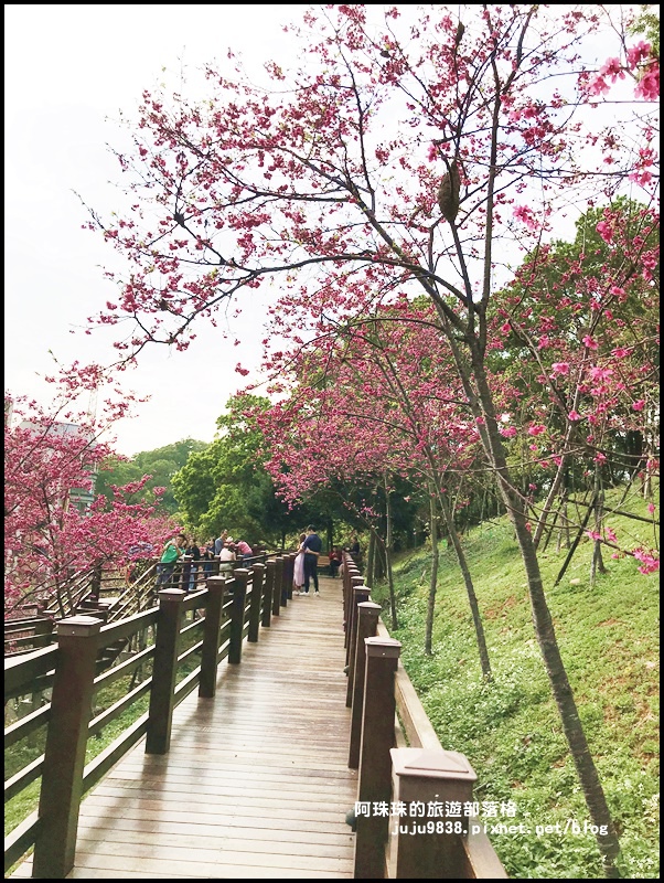 長庚養生村42.JPG 長庚養生村42.JPG