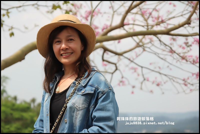 巨埔休閒農場17.JPG 巨埔休閒農場17.JPG