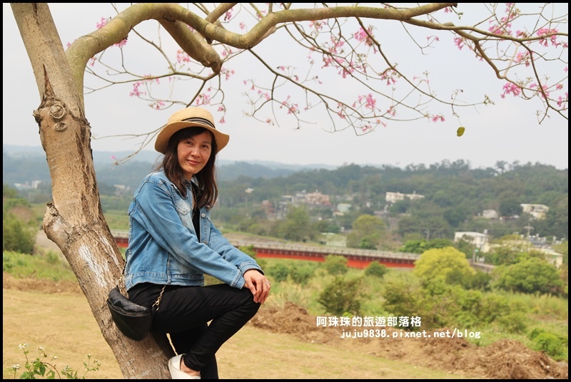 巨埔休閒農場18.JPG 巨埔休閒農場18.JPG