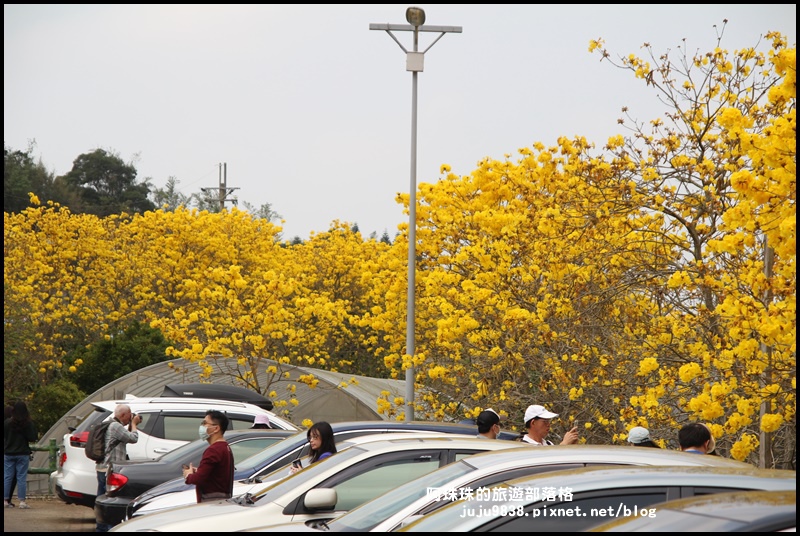 巨埔休閒農場13.JPG 巨埔休閒農場13.JPG