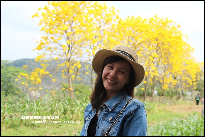 巨埔休閒農場9.JPG 巨埔休閒農場9.JPG