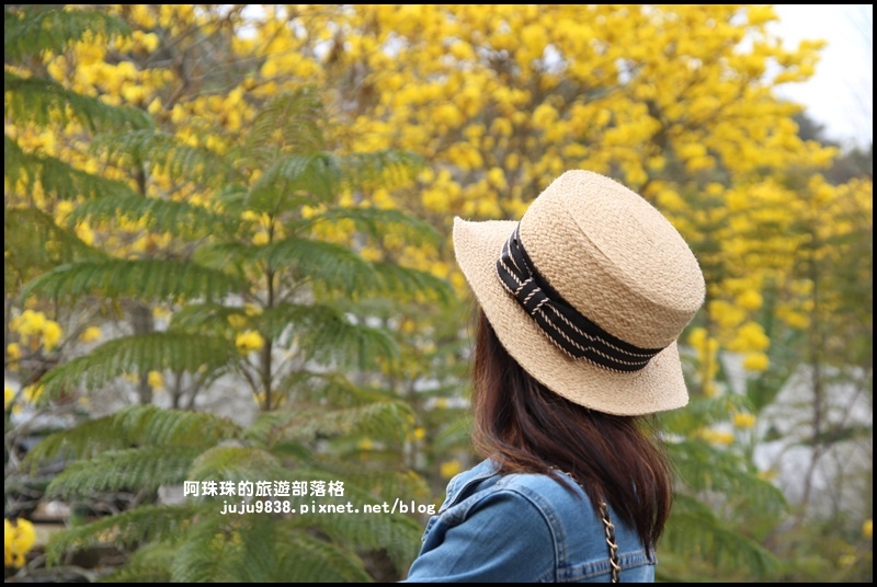 巨埔休閒農場15.JPG 巨埔休閒農場15.JPG