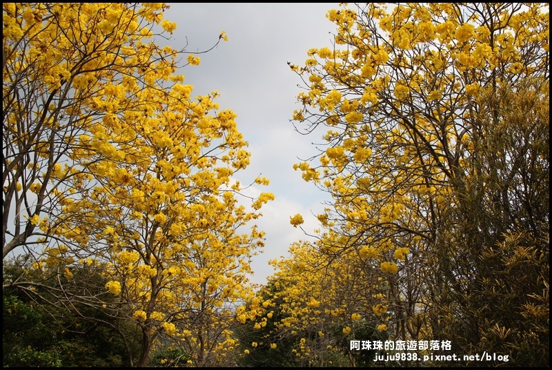 巨埔休閒農場12.JPG 巨埔休閒農場12.JPG