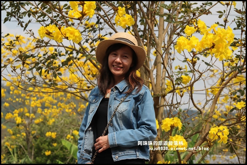 巨埔休閒農場11.JPG 巨埔休閒農場11.JPG