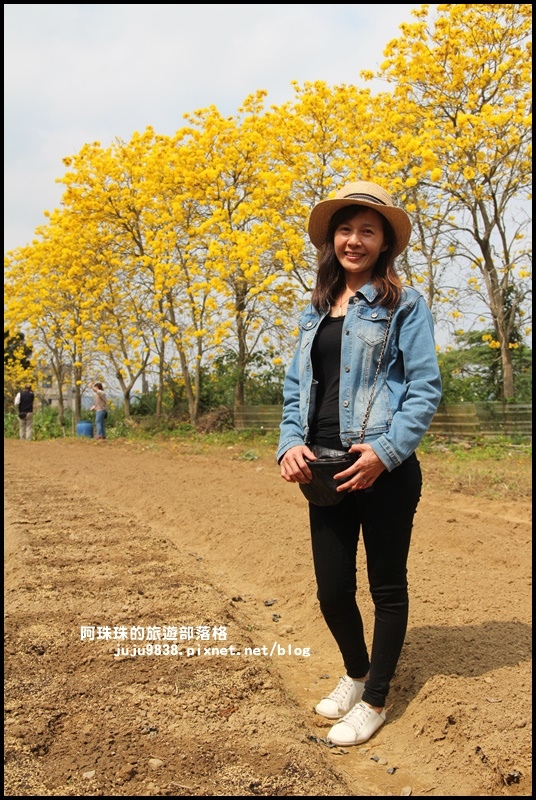 巨埔休閒農場6.JPG 巨埔休閒農場6.JPG