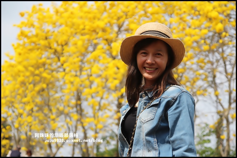 巨埔休閒農場5.JPG 巨埔休閒農場5.JPG