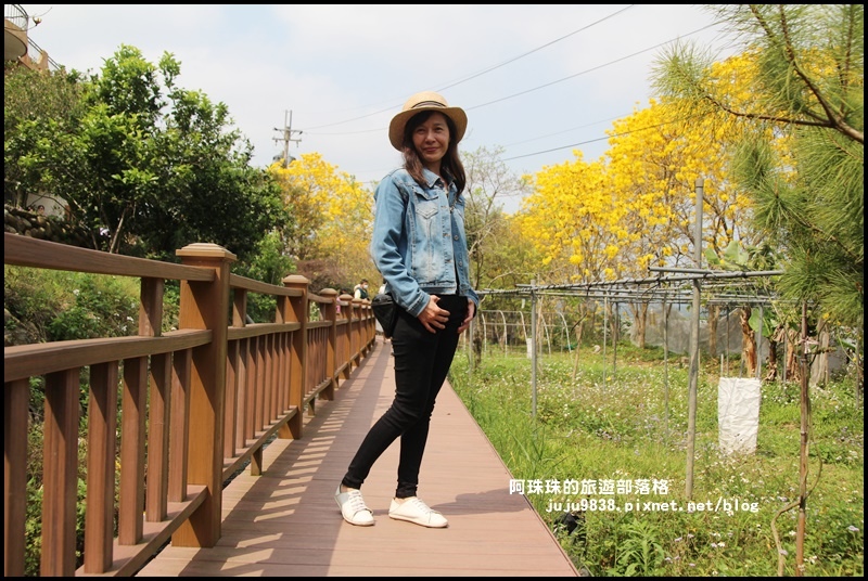 巨埔休閒農場4.JPG 巨埔休閒農場4.JPG