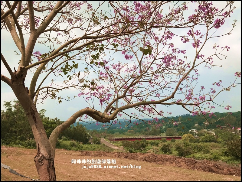 巨埔休閒農場33.JPG 巨埔休閒農場33.JPG