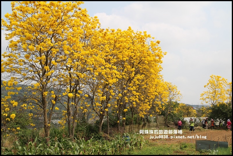 巨埔休閒農場7.JPG 巨埔休閒農場7.JPG