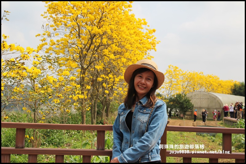 巨埔休閒農場8.JPG 巨埔休閒農場8.JPG