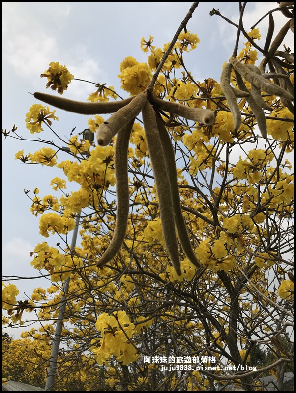 巨埔休閒農場31.JPG 巨埔休閒農場31.JPG