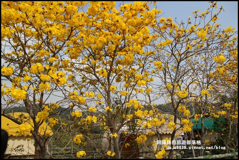 巨埔休閒農場2.JPG 巨埔休閒農場2.JPG