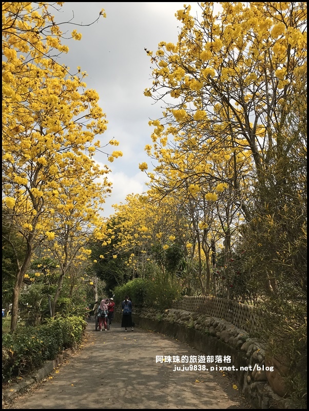 巨埔休閒農場27.JPG 巨埔休閒農場27.JPG