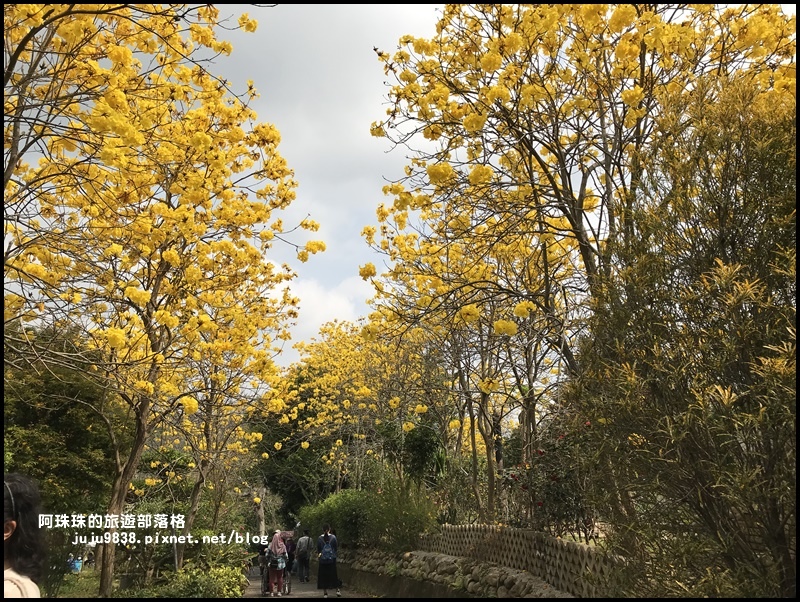 巨埔休閒農場28.JPG 巨埔休閒農場28.JPG