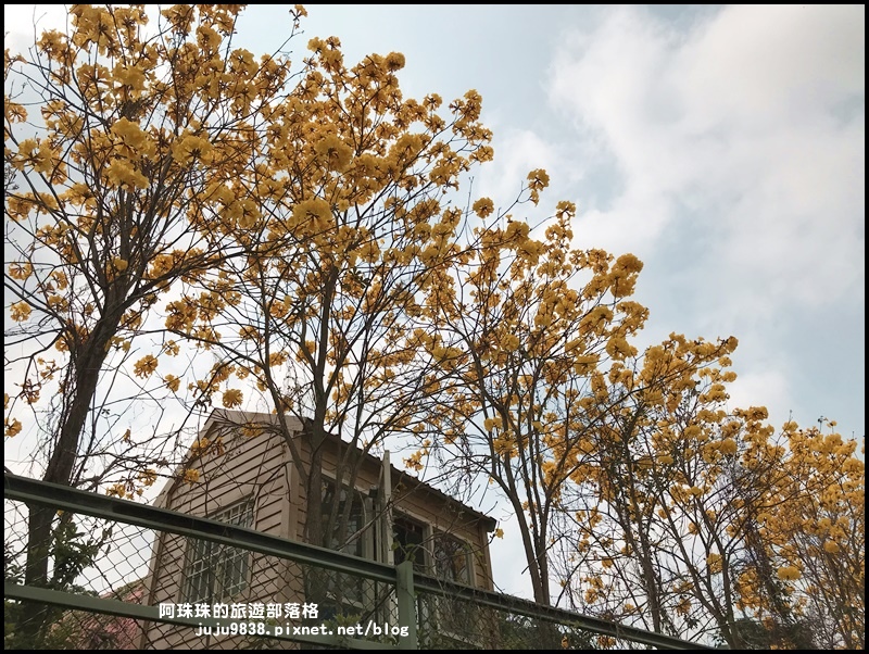 巨埔休閒農場22.JPG 巨埔休閒農場22.JPG