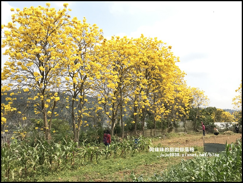 巨埔休閒農場23.JPG 巨埔休閒農場23.JPG