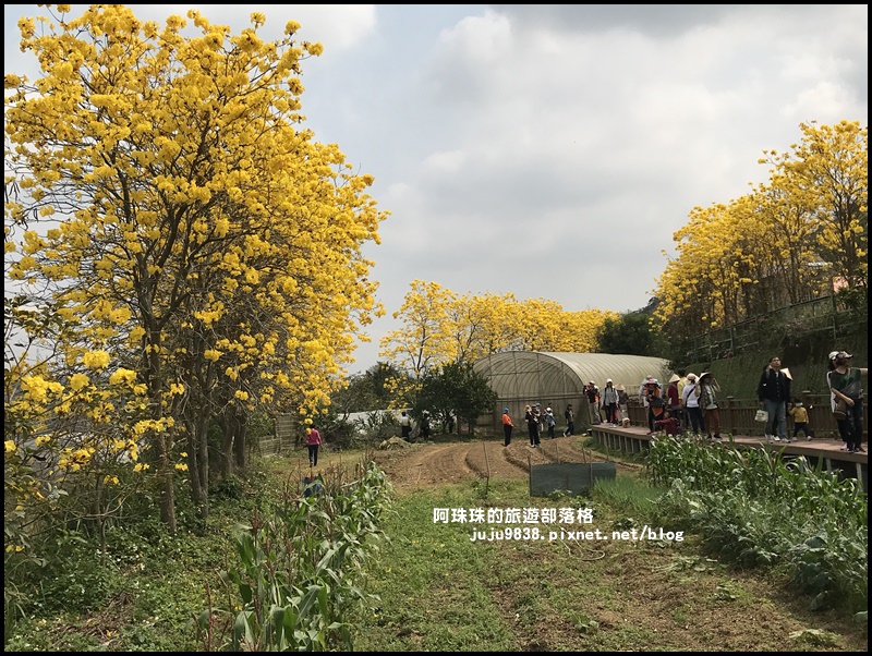 巨埔休閒農場24.JPG 巨埔休閒農場24.JPG