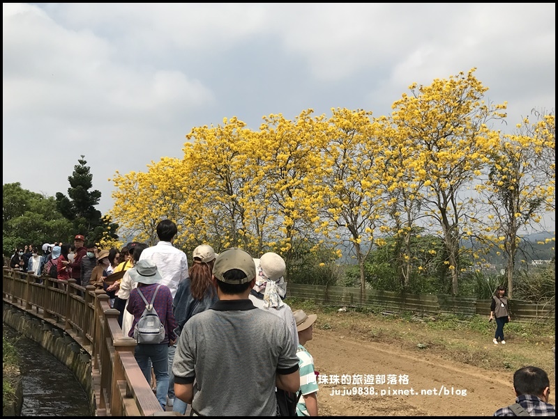 巨埔休閒農場20.JPG 巨埔休閒農場20.JPG