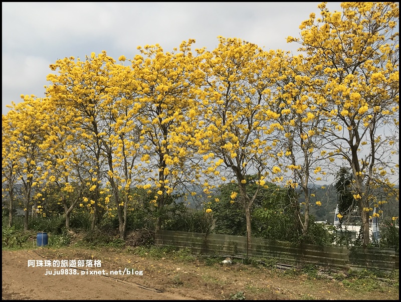 巨埔休閒農場21.JPG 巨埔休閒農場21.JPG