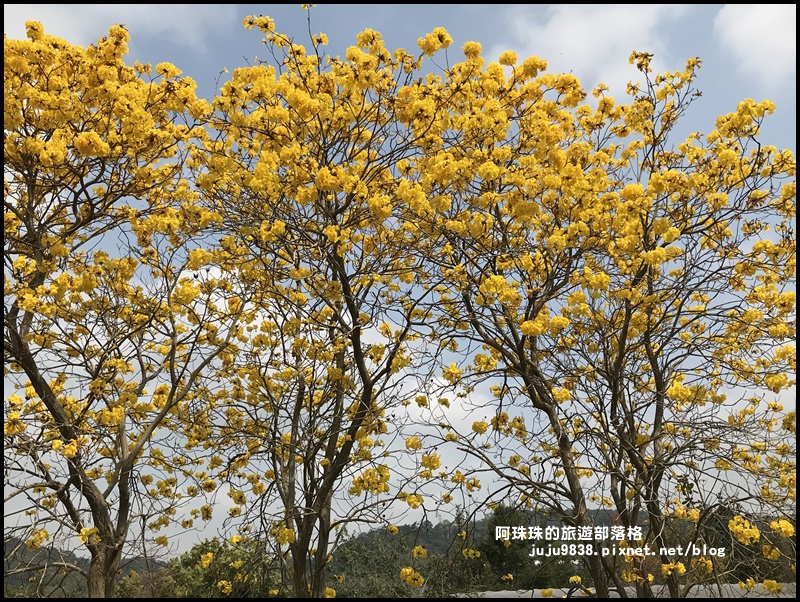 巨埔休閒農場19.JPG 巨埔休閒農場19.JPG