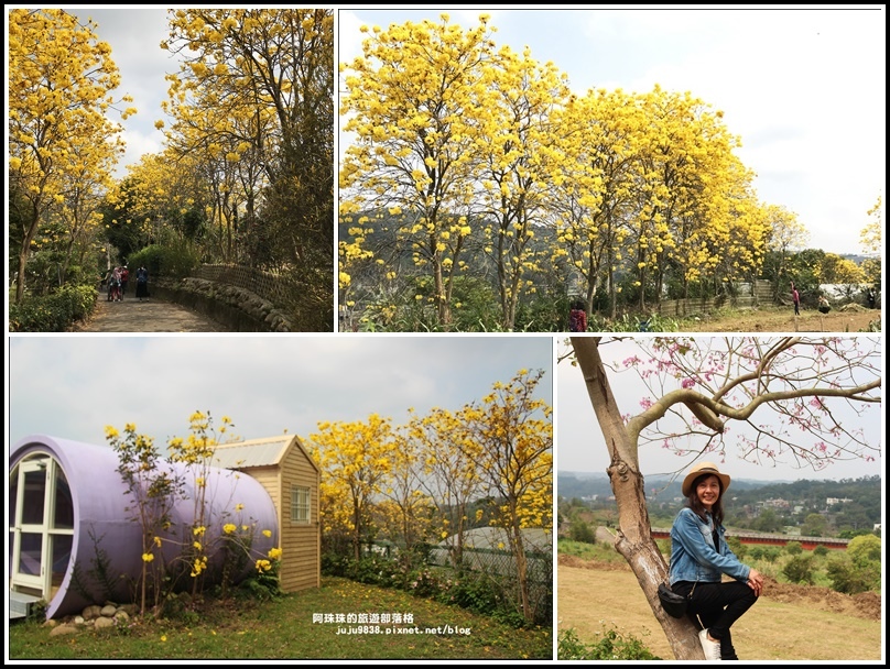 /tmp/phpZAduOG /tmp/phpZAduOG