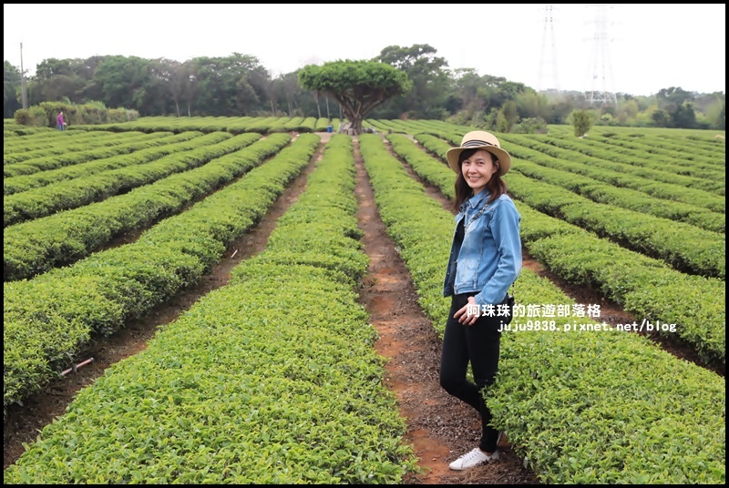 山丘上35.JPG 山丘上35.JPG