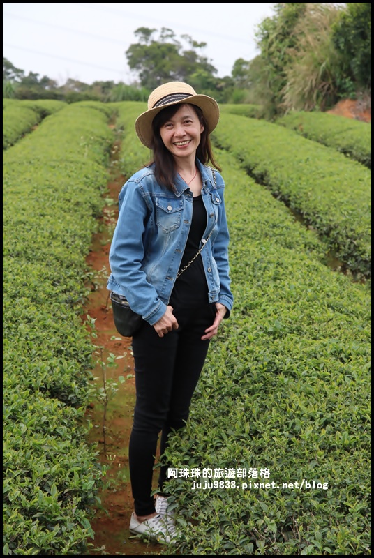 山丘上29.JPG 山丘上29.JPG