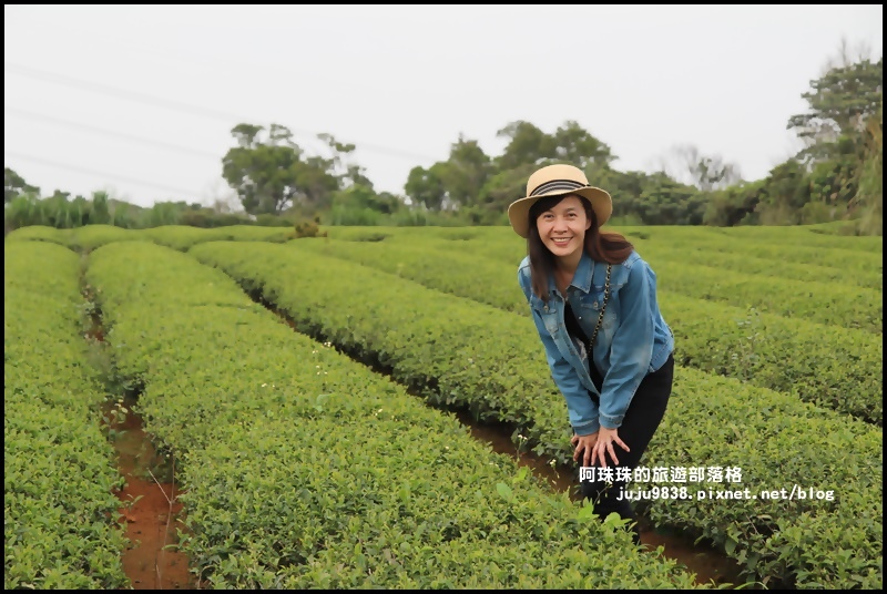 山丘上31.JPG 山丘上31.JPG