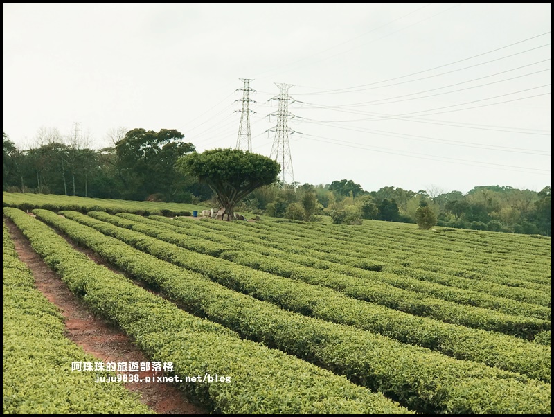 山丘上48.JPG 山丘上48.JPG