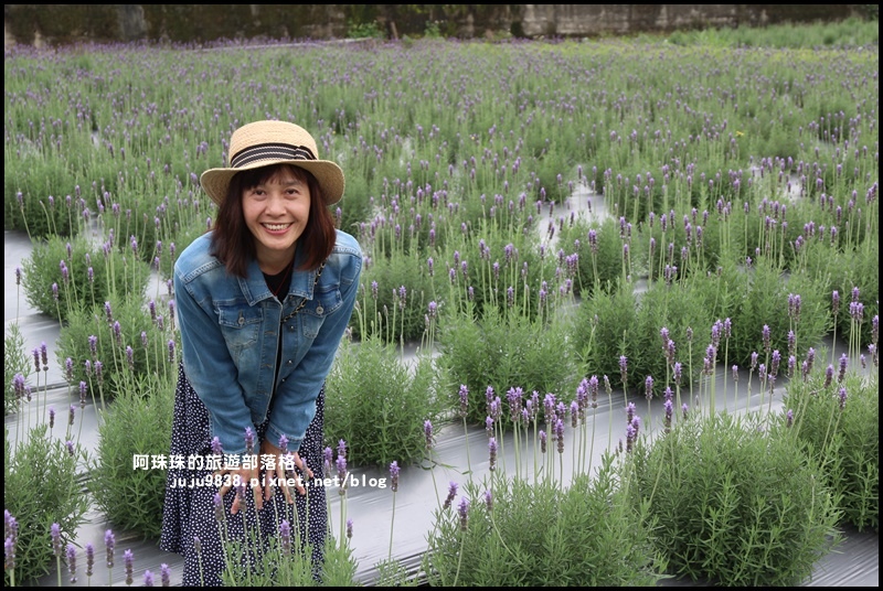 葛瑞絲香草花園11.JPG