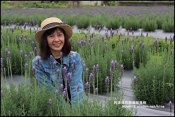 葛瑞絲香草花園7.JPG