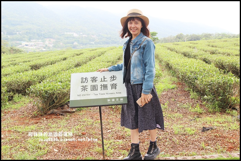 銅鑼茶廠35.JPG 銅鑼茶廠35.JPG