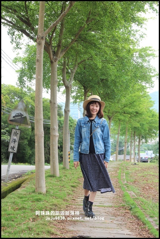 銅鑼茶廠37.JPG 銅鑼茶廠37.JPG