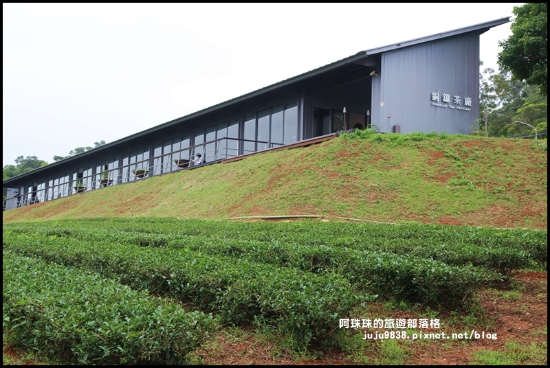 銅鑼茶廠34.JPG 銅鑼茶廠34.JPG