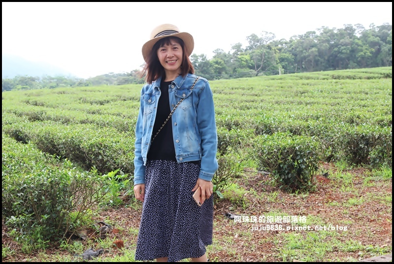 銅鑼茶廠36.JPG 銅鑼茶廠36.JPG