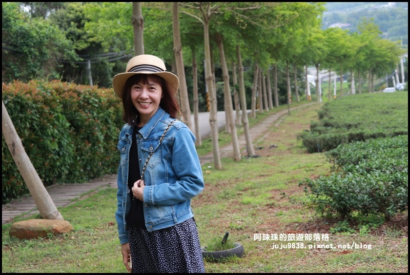 銅鑼茶廠31.JPG 銅鑼茶廠31.JPG