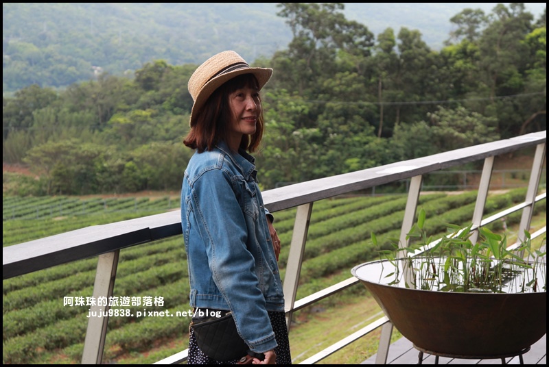 銅鑼茶廠27.JPG 銅鑼茶廠27.JPG