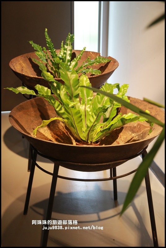 銅鑼茶廠18.JPG 銅鑼茶廠18.JPG