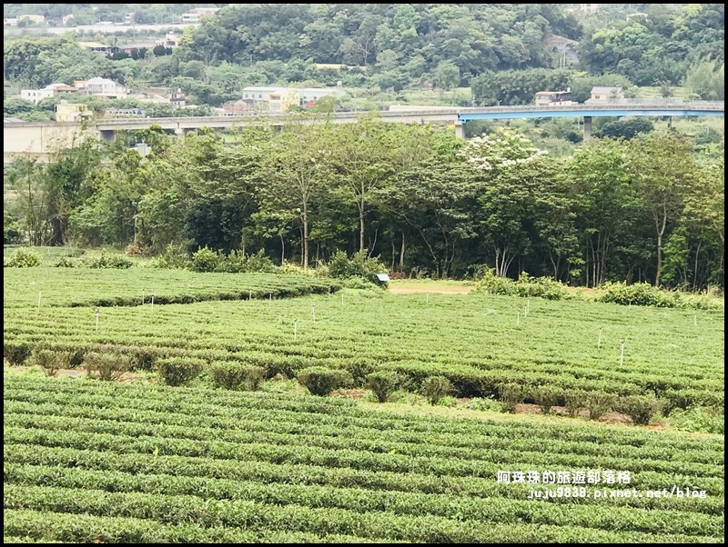 銅鑼茶廠38.JPG 銅鑼茶廠38.JPG