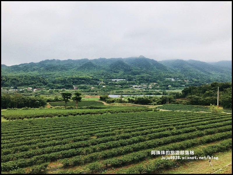 銅鑼茶廠40.JPG 銅鑼茶廠40.JPG