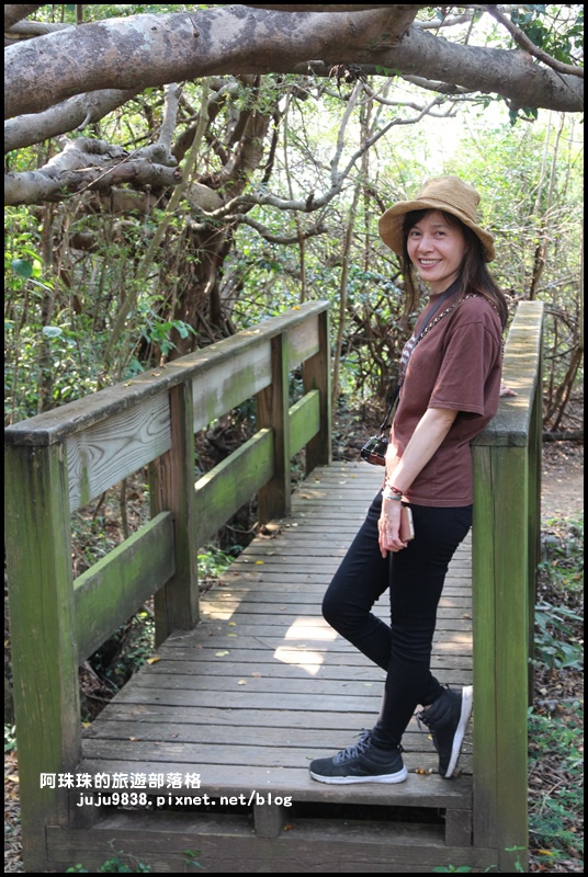 龜山步道13.JPG