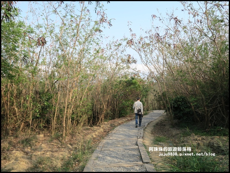 龜山步道39.JPG