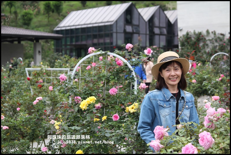 雅聞七里香玫瑰森林25.JPG 雅聞七里香玫瑰森林25.JPG