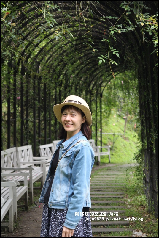 雅聞七里香玫瑰森林17.JPG 雅聞七里香玫瑰森林17.JPG