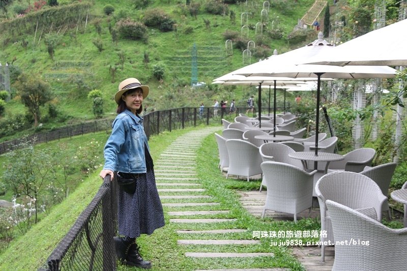 雅聞七里香玫瑰森林16.JPG 雅聞七里香玫瑰森林16.JPG