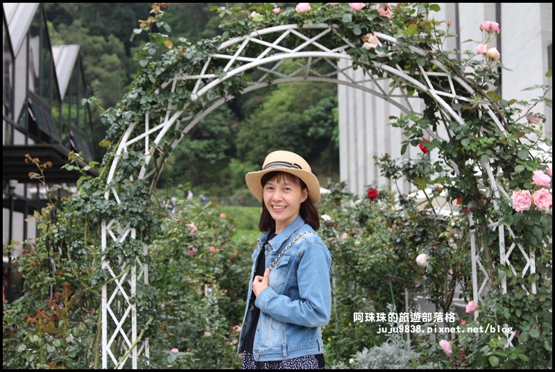 雅聞七里香玫瑰森林10.JPG 雅聞七里香玫瑰森林10.JPG