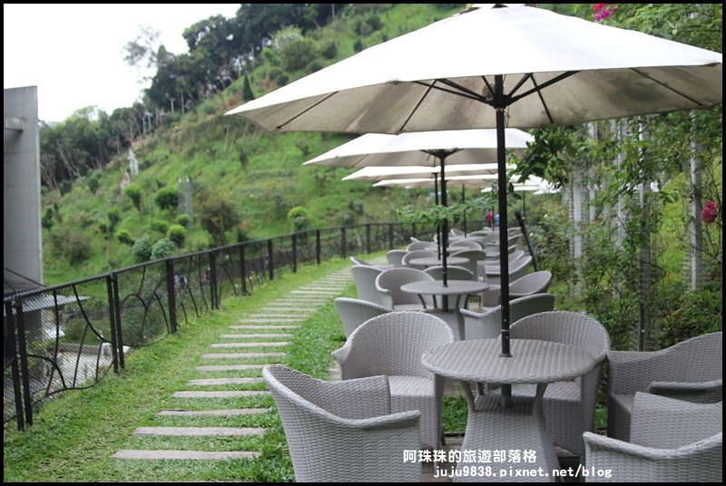 雅聞七里香玫瑰森林15.JPG 雅聞七里香玫瑰森林15.JPG