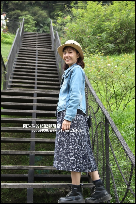 雅聞七里香玫瑰森林13.JPG 雅聞七里香玫瑰森林13.JPG