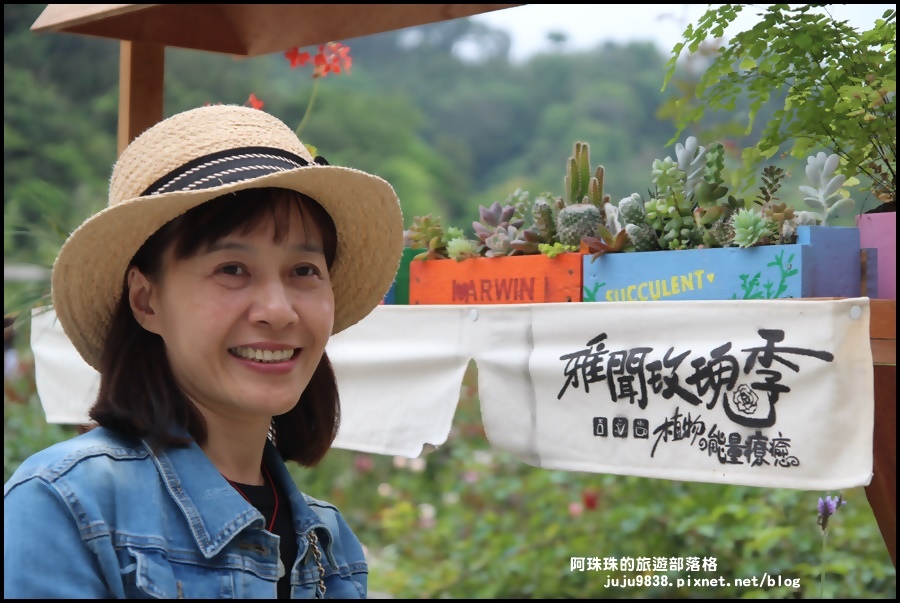 雅聞七里香玫瑰森林7.JPG 雅聞七里香玫瑰森林7.JPG